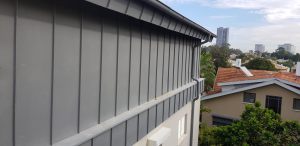 20181127_095728 (Medium)